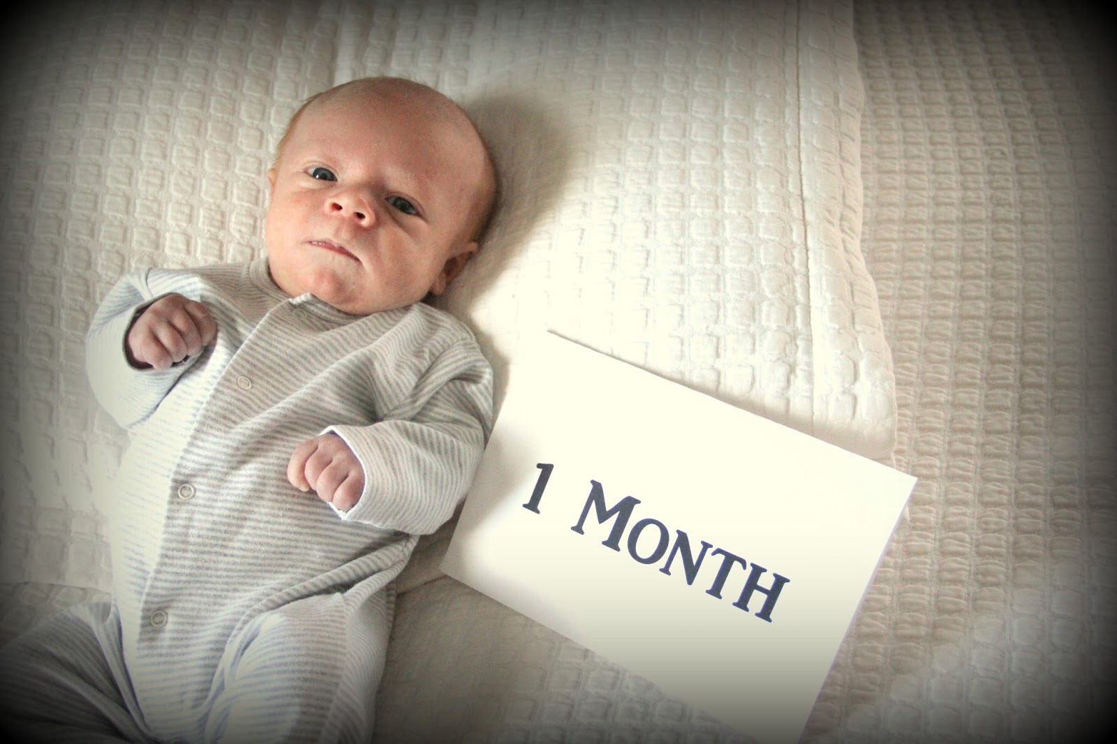Как развивается малыш: от 1 до 12 месяцев жизни
