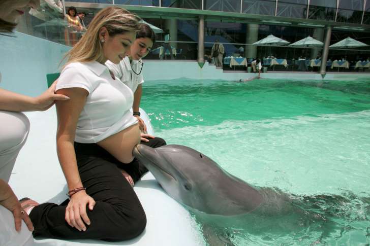 Роды с дельфинами в 