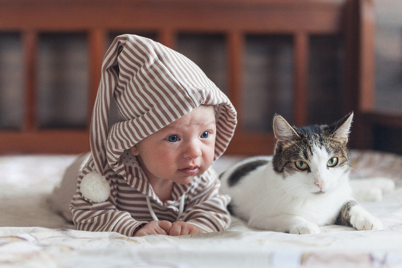 Младенцы и кошки: 25 фото, градус милоты в которых зашкаливает