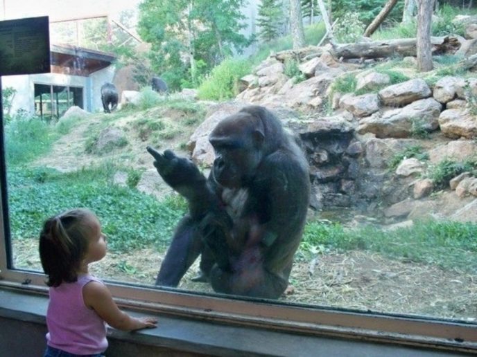 Дети в зоопарке: 12 кадров, которые заставят вас плакать от смеха