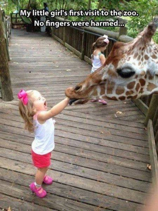 Дети в зоопарке: 12 кадров, которые заставят вас плакать от смеха