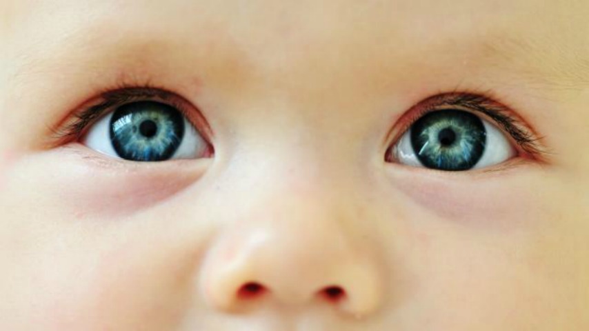 Папины глазки — мамин носик: как узнать, на кого будет похож малыш?