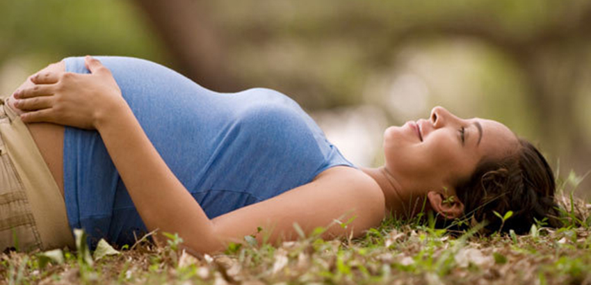 Просто удивительно: 10 фактов о матке, плаценте и околоплодных водах