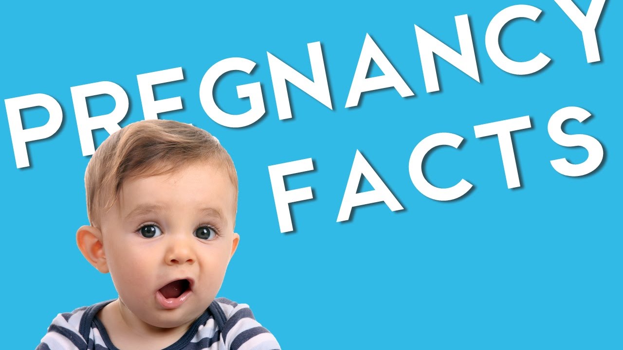 Просто удивительно: 10 фактов о матке, плаценте и околоплодных водах